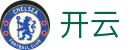 开云官方入口 - 中文手机网页版